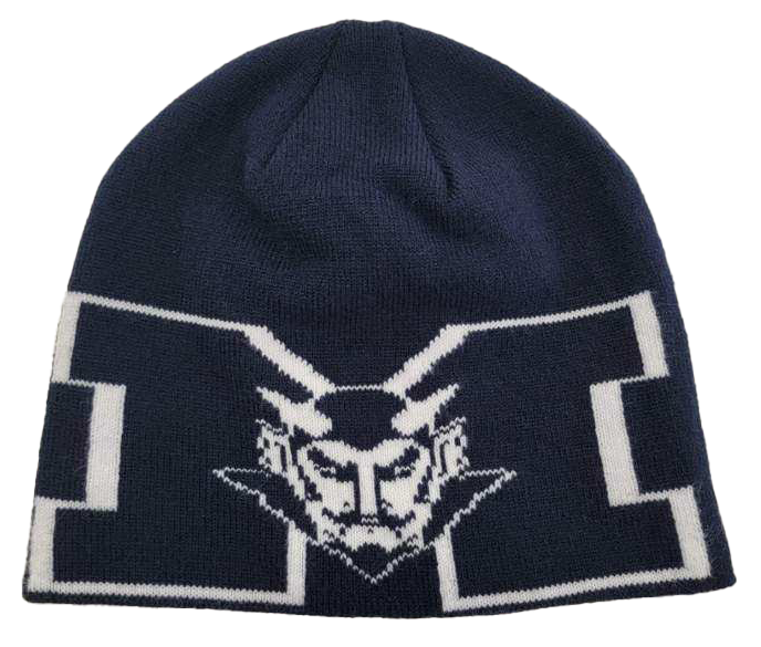 Beanie Hat