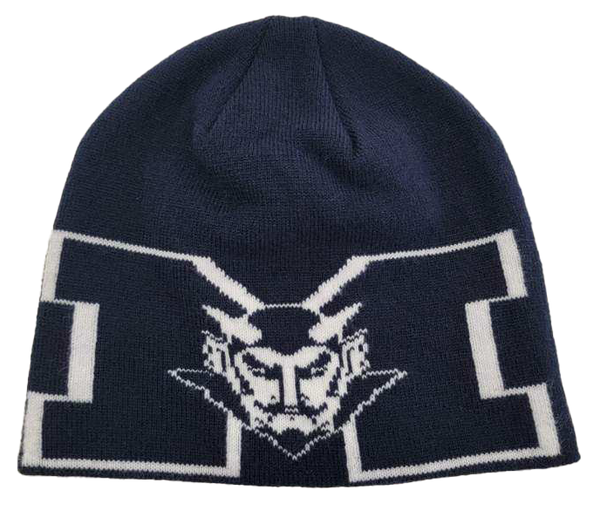 Beanie Hat